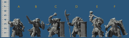 Ivory Sentinels Kit I Bundle Set by Artisan Guild Heroic 32mm Scale Fantasy Miniature AG1317