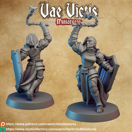 Paladin by Vae Victis Miniatures 28mm scale VVM 0118