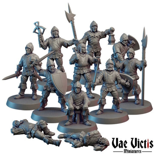 Kingdom Guards bundle set (11 models) - 28mm heroic scale Vae Victis Miniatures VVM 0117