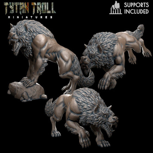 Wolf Pack Bundle Set by Tytan Troll Miniatures 32mm scale Fantasy Miniature