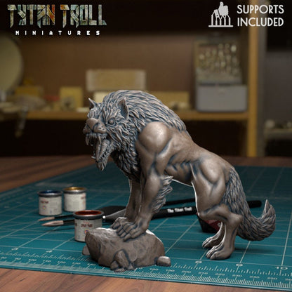 Wolf Pack Bundle Set by Tytan Troll Miniatures 32mm scale Fantasy Miniature