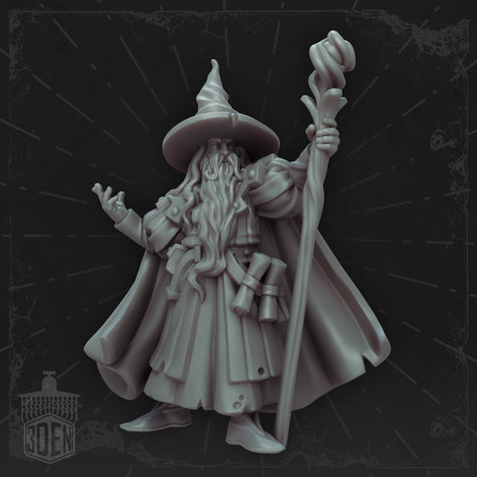Wizard by Vae Victis Miniatures 28mm or 32mm scale Fantasy Miniature  VVM 0131